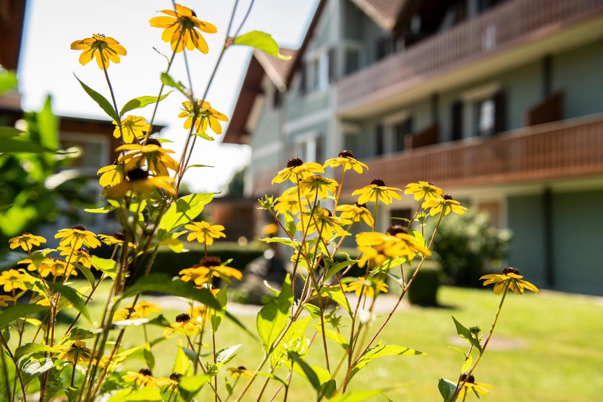 Hotel Altneudörflerhof Bad Radkersburg Dış mekan fotoğraf